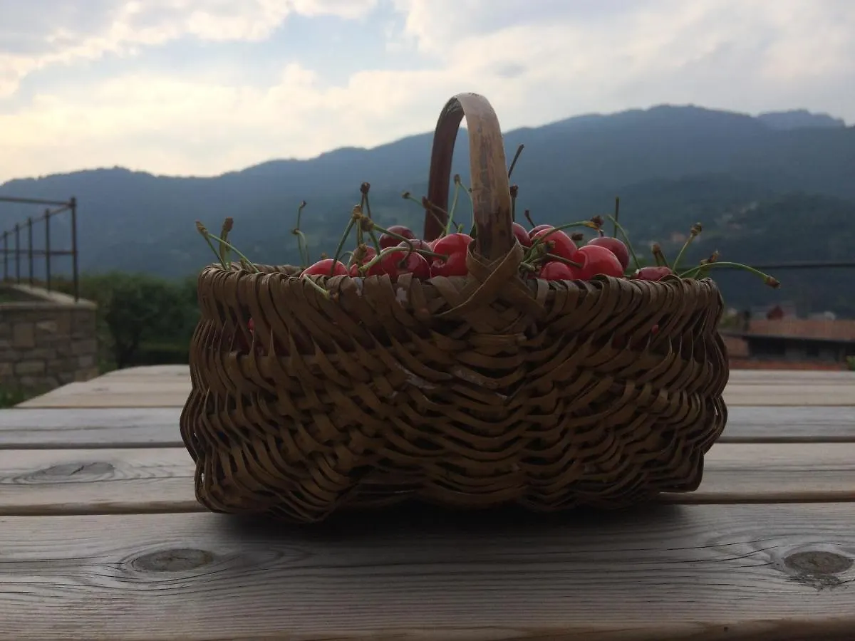 Casa Martina B&B Zogno Italy